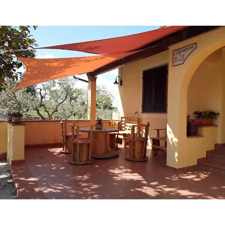 L'agramante 구알도카타네오