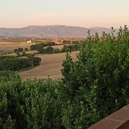 L'agramante 구알도카타네오