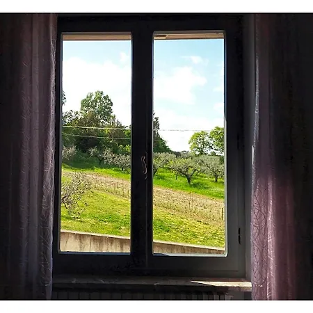 L'agramante 3*