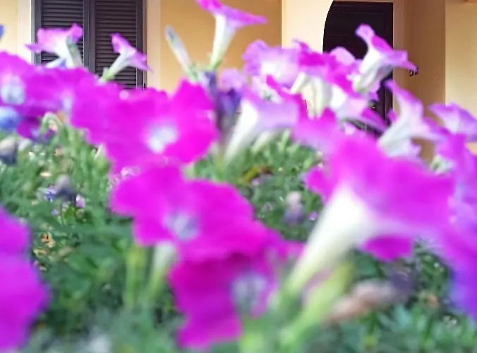 L'agramante Alojamento de Acomodação e Pequeno-almoço Gualdo Cattaneo